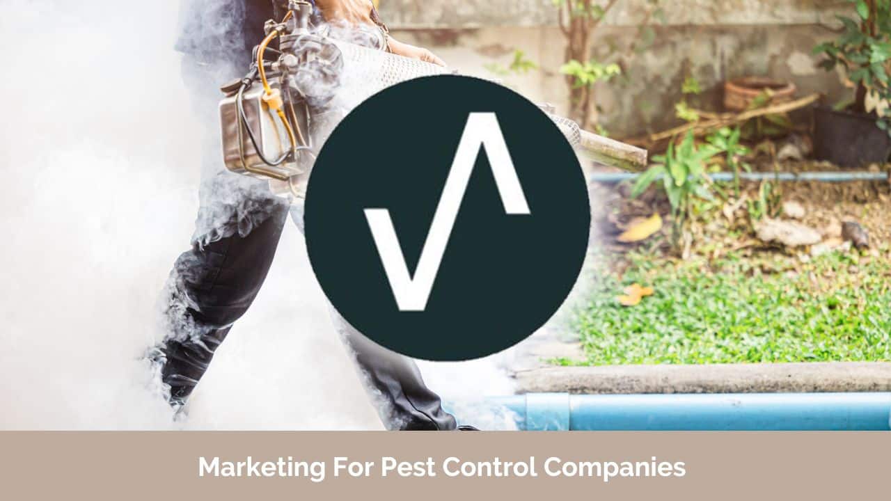 Marketing Agency For Pest Control Companies