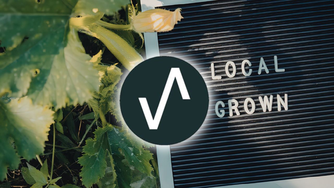 Local AEO, GEO. ChatGPT, AI Optimization