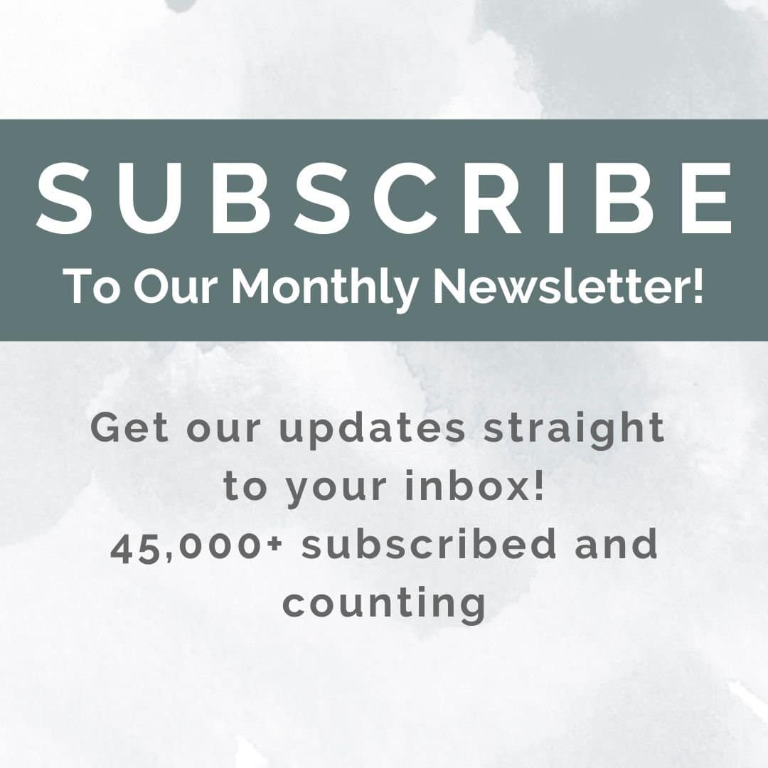 Elevated Marketing Solutions Newsletter